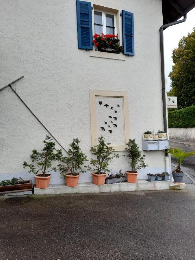 Les Hirondelles, Appartement De Vacances Avec Terrasse Et Coin Grillades Granges Kültér fotó