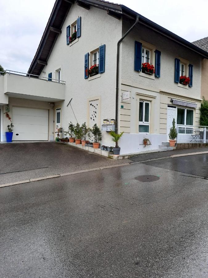 Les Hirondelles, Appartement De Vacances Avec Terrasse Et Coin Grillades Granges Kültér fotó