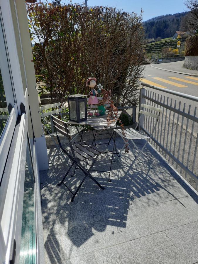 Les Hirondelles, Appartement De Vacances Avec Terrasse Et Coin Grillades Granges Kültér fotó